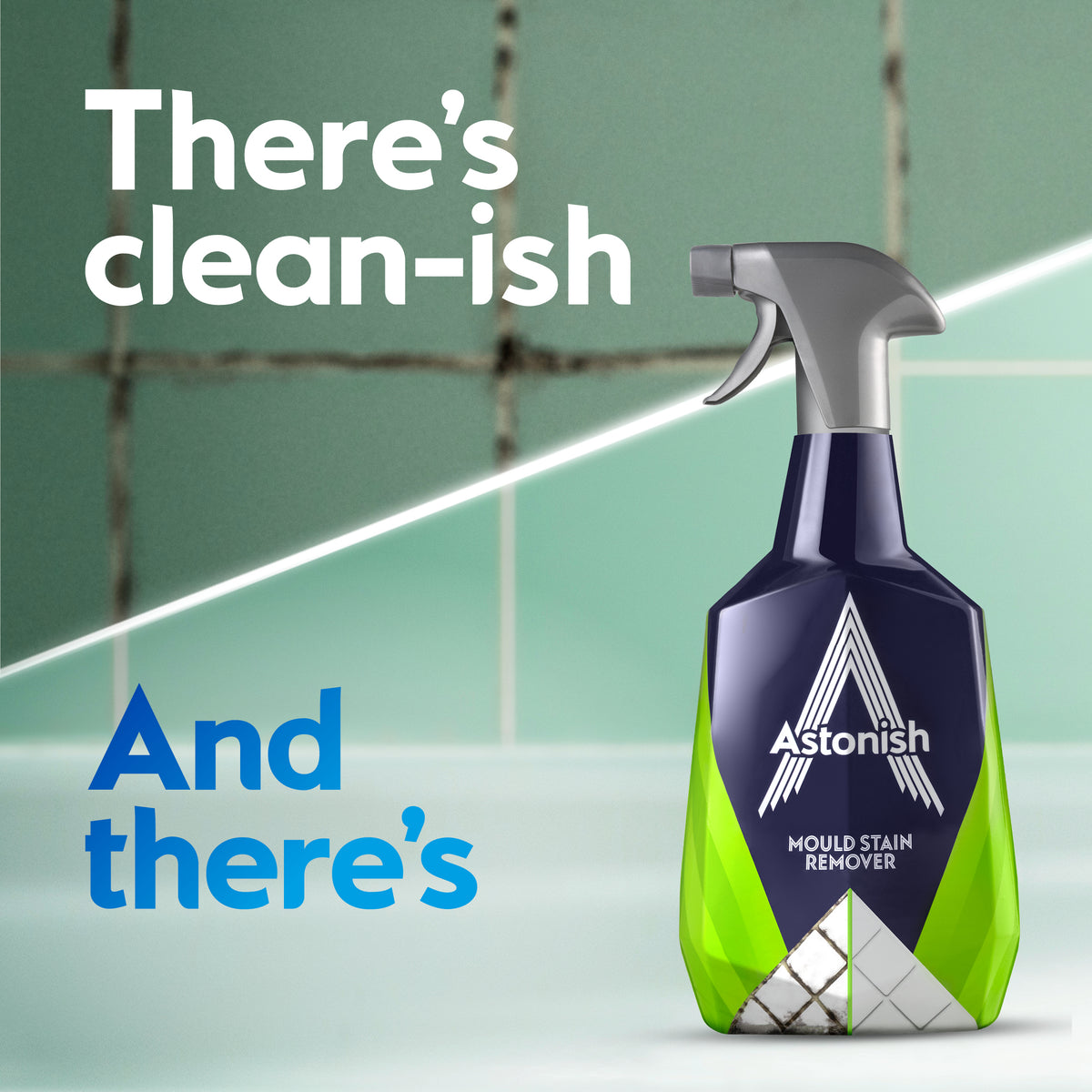 Specialist Mould Stain Remover