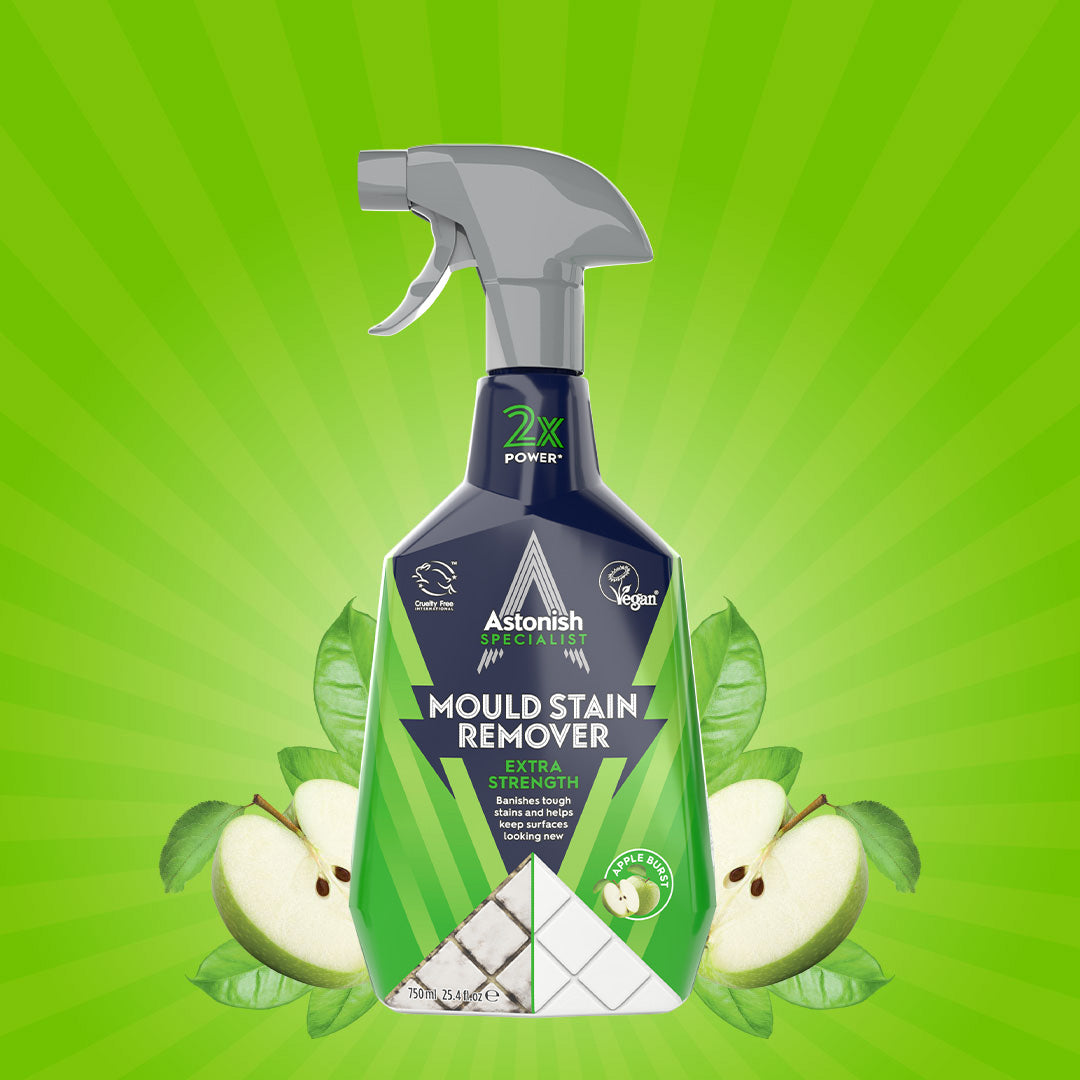 Specialist Mould Blast Stain Remover