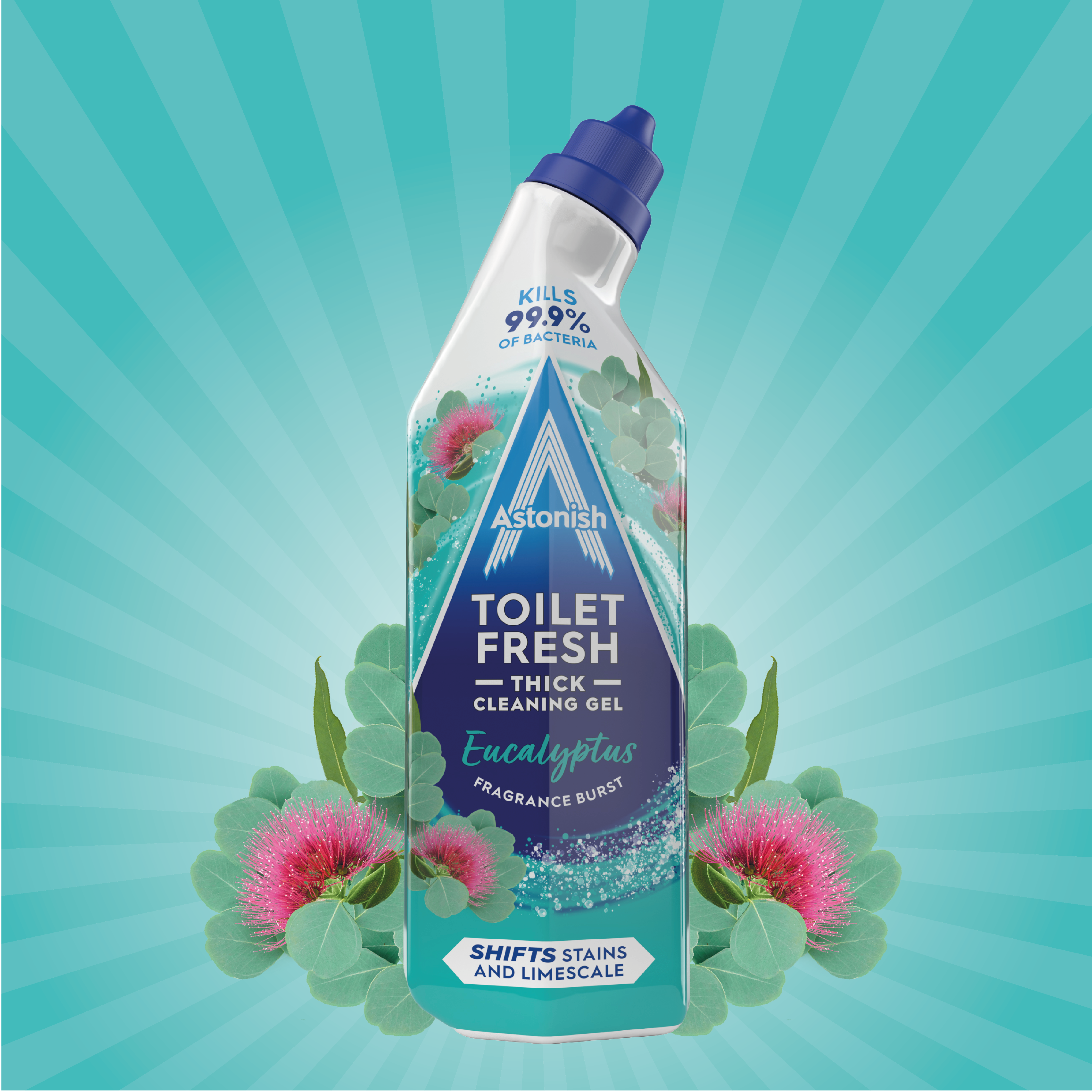 Toilet Fresh Gel Eucalyptus
