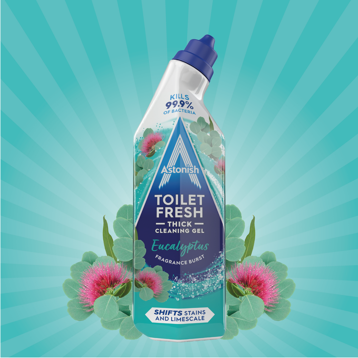 Toilet Fresh Gel Eucalyptus