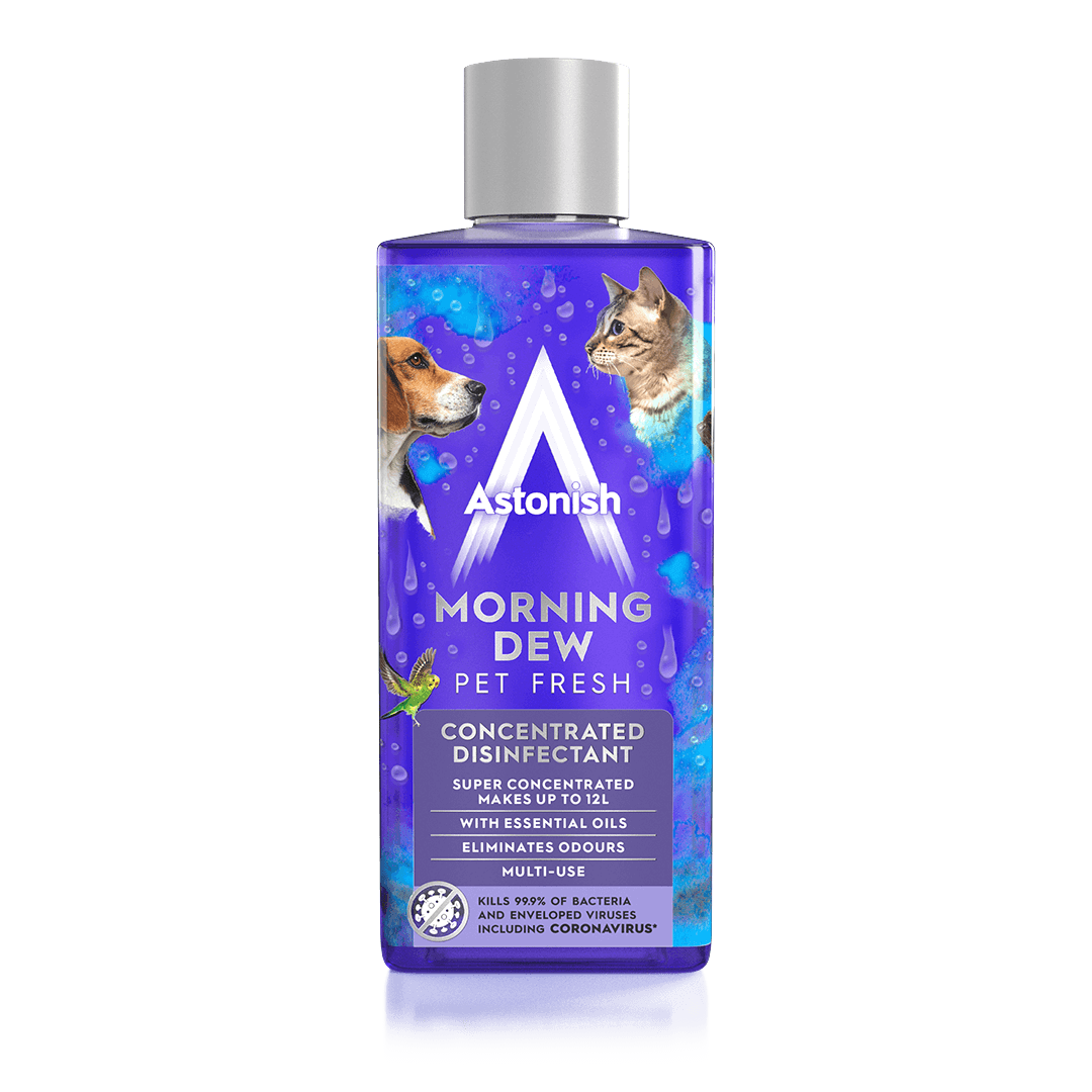 Concentrated Disinfectant Morning Dew