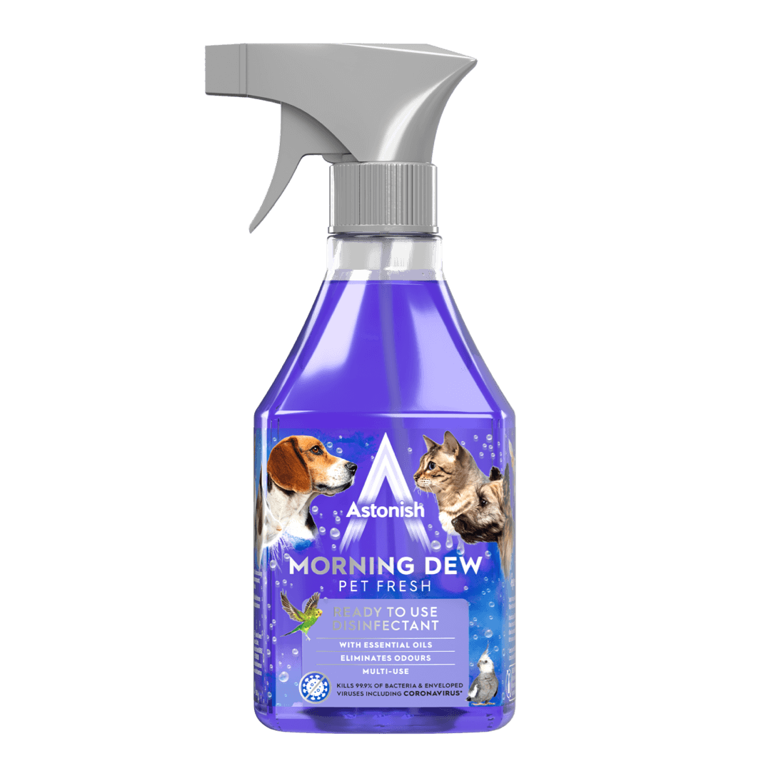 Ready to Use Disinfectant Spray Morning Dew